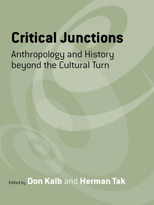 cover image of Critical Junctions